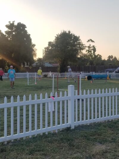 Diamond Dog - Chino, CA