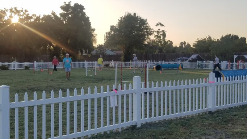 Diamond Dog - Chino, CA