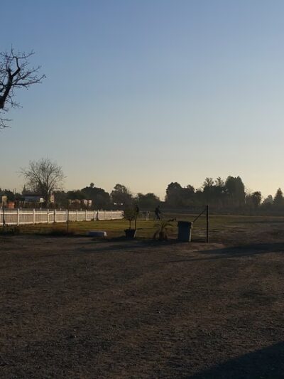 Diamond Dog - Chino, CA