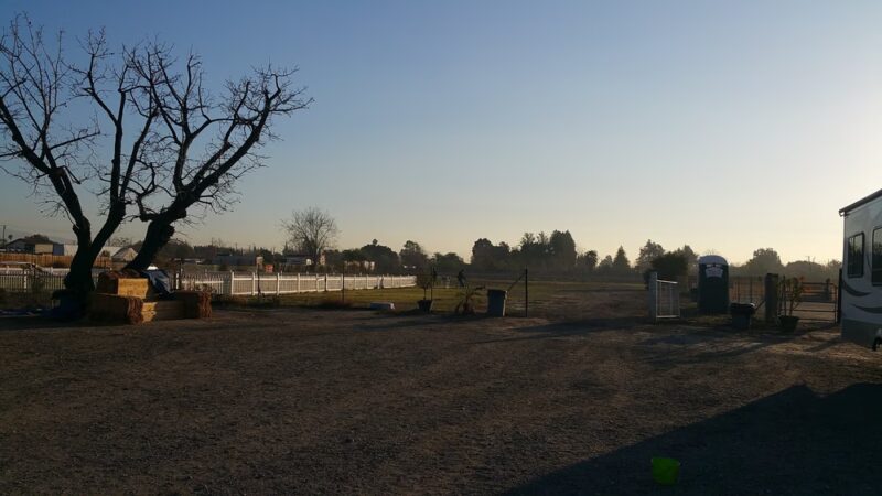 Diamond Dog - Chino, CA