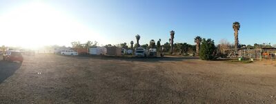 Diamond Dog - Chino, CA