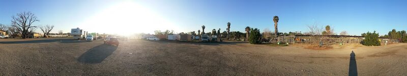 Diamond Dog - Chino, CA