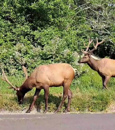 Chinook County Park - Chinook, WA