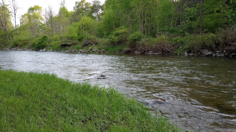 Chittenango Creek Walk - Chittenango, NY