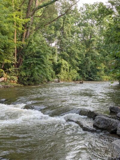 Chittenango Lions Botanical Park & Creekwalk - Chittenango, NY