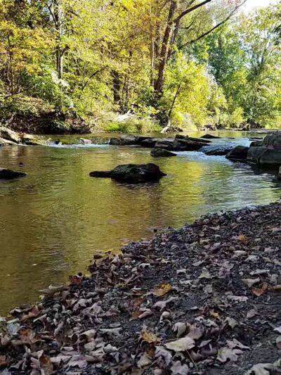 Chittenango Lions Botanical Park & Creekwalk - Chittenango, NY