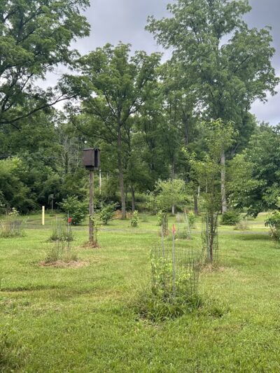 Chittenango Lions Botanical Park & Creekwalk - Chittenango, NY