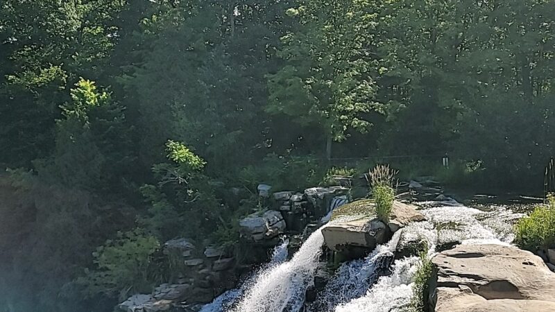 Chittenango Lions Botanical Park & Creekwalk - Chittenango, NY
