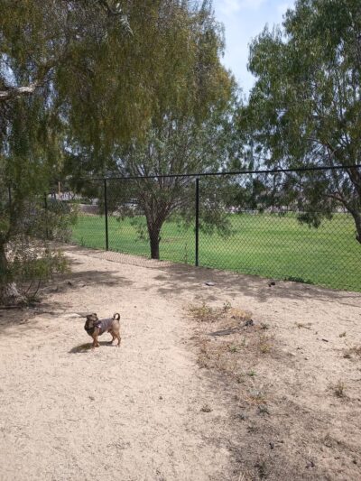 Dog park - Chula Vista, CA