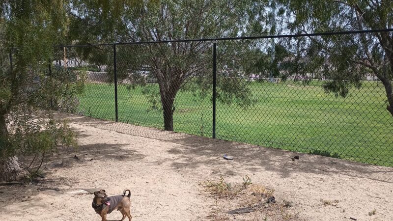 Dog park - Chula Vista, CA