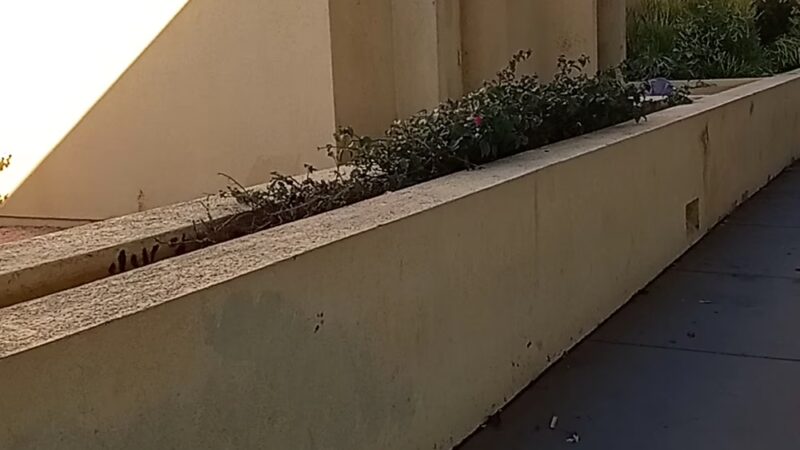 Chula vista library dog park - Chula Vista, CA