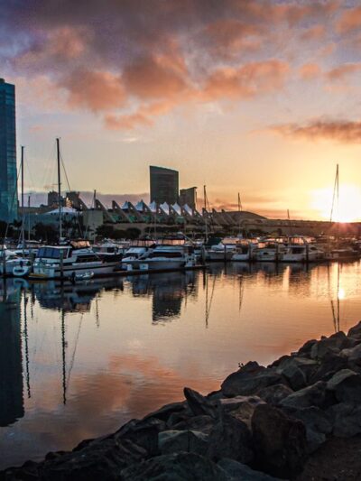 Chula vista library dog park - Chula Vista, CA