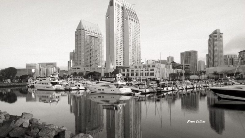 Chula vista library dog park - Chula Vista, CA