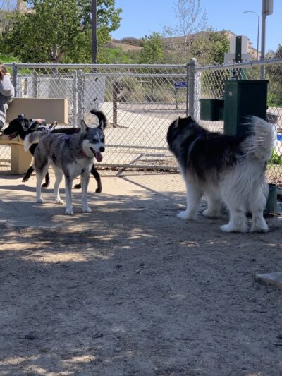 Mount San Miguel Community Park Dog Park - Chula Vista, CA