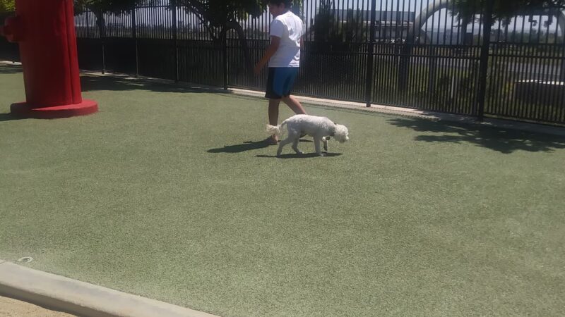 Otay Ranch Town Center - Dog Park East - Chula Vista, CA