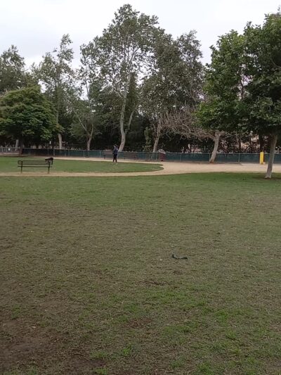 Claremont Pooch Dog Park - Claremont, CA