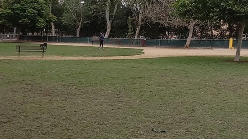 Claremont Pooch Dog Park - Claremont, CA