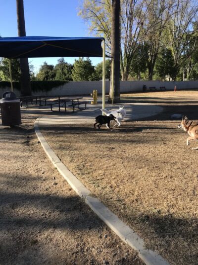 Claremont Pooch Dog Park - Claremont, CA