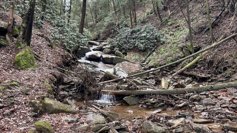 Clarion Loop Trail - Clarion, PA