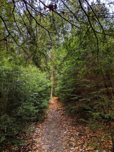 Clarion Loop Trail - Clarion, PA