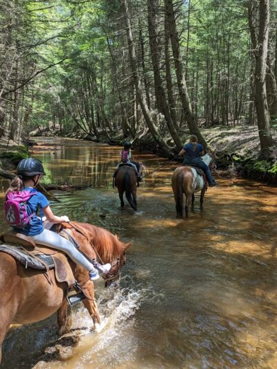 Cook Forest Scenic Trailride, Dude Ranch, and Campground - Clarion, PA
