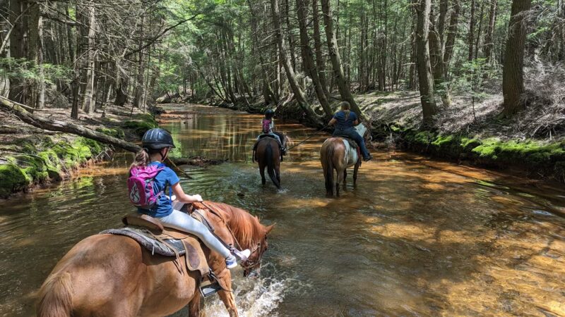 Cook Forest Scenic Trailride, Dude Ranch, and Campground - Clarion, PA