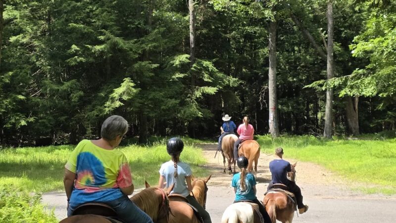 Cook Forest Scenic Trailride, Dude Ranch, and Campground - Clarion, PA