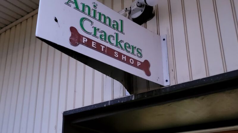 Animal Crackers - Clark, NJ