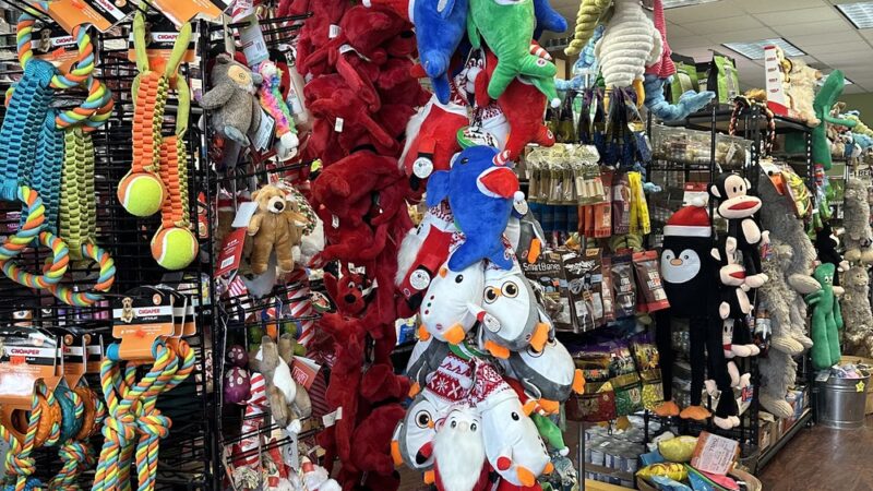 Animal Crackers - Clark, NJ