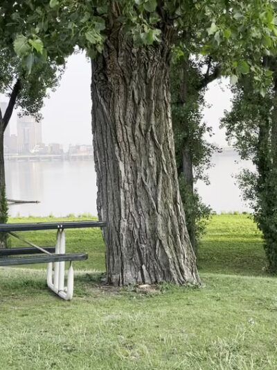 Ashland Park - Clarksville, IN