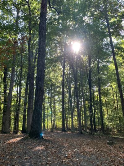 Lapping Park - Clarksville, IN