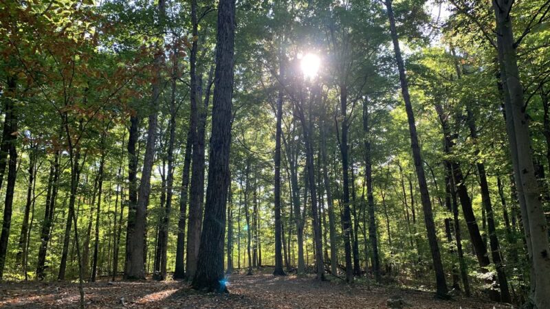 Lapping Park - Clarksville, IN