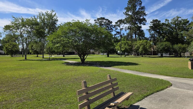 Senior Citizen's Park - Claxton, GA