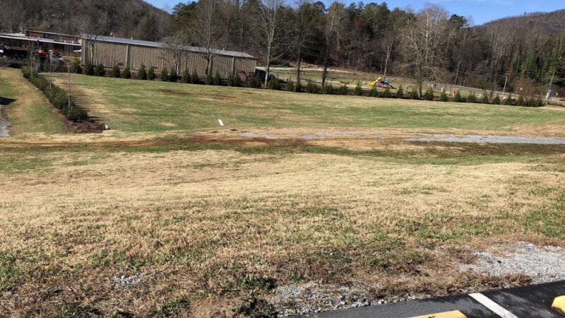 Clayton City Hall Dog Walk Area - Clayton, GA