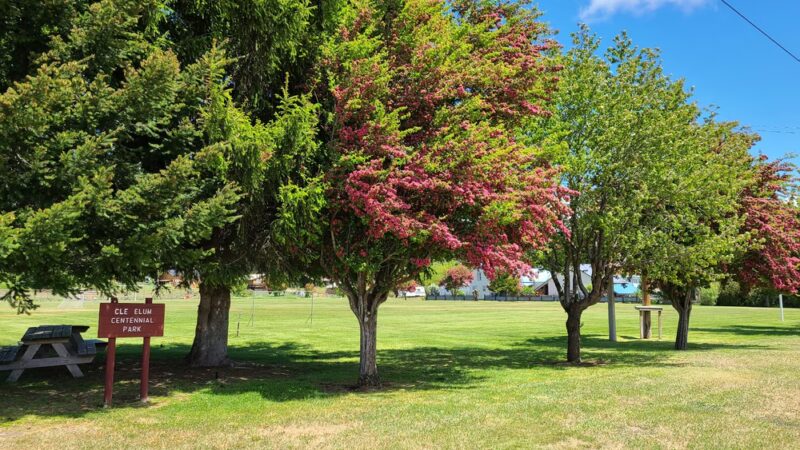 Centennial Park - Cle Elum, WA