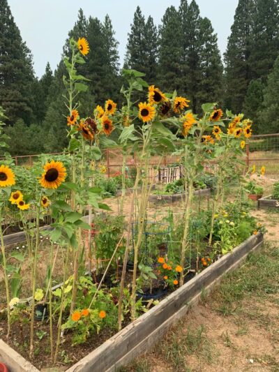 Centennial Park - Cle Elum, WA