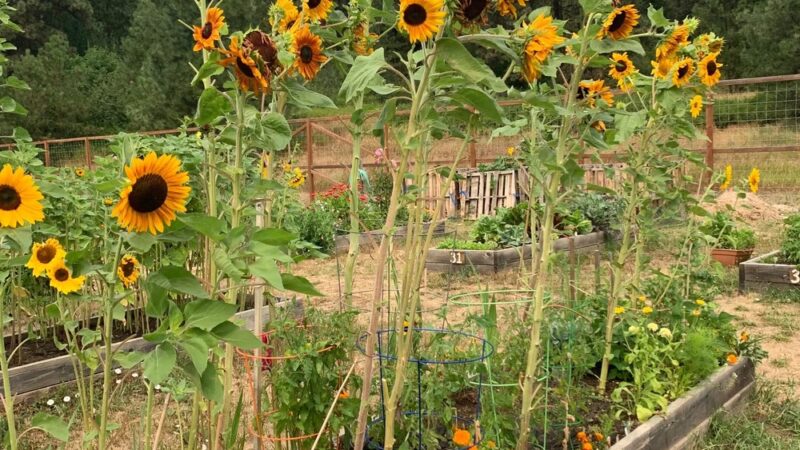 Centennial Park - Cle Elum, WA