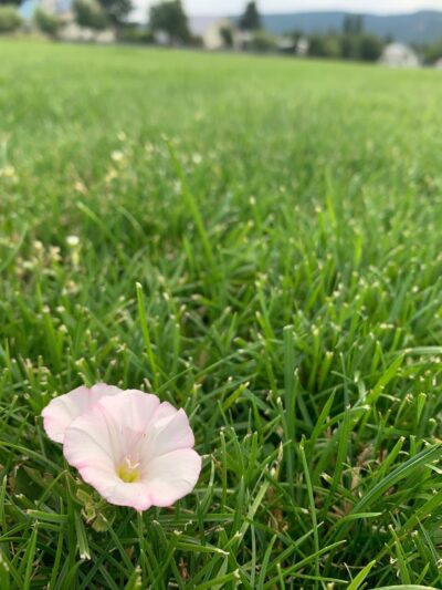 Centennial Park - Cle Elum, WA