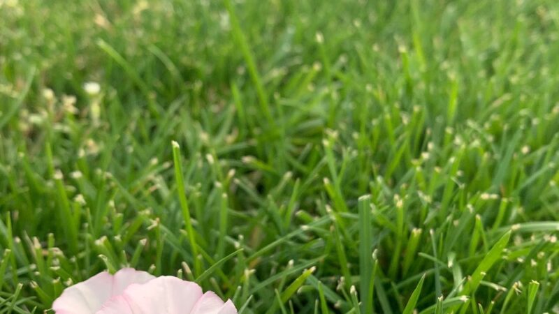 Centennial Park - Cle Elum, WA