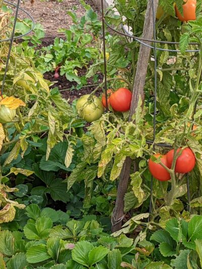 Centennial Park - Cle Elum, WA