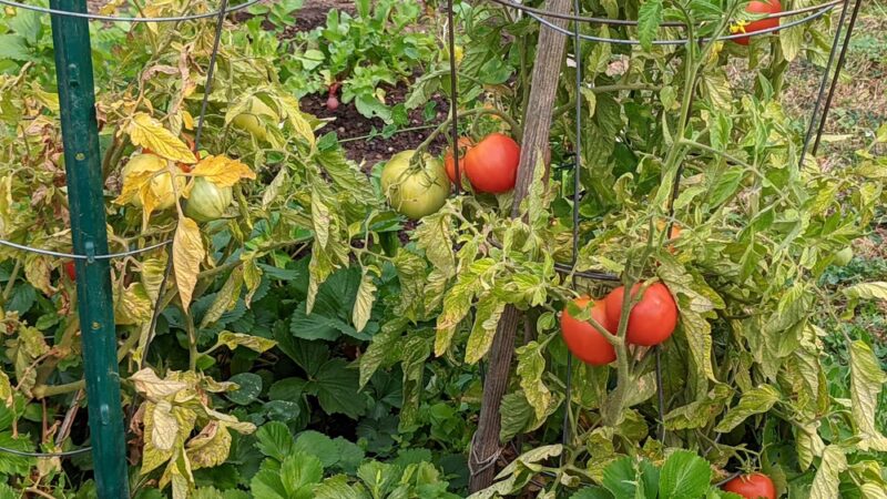 Centennial Park - Cle Elum, WA