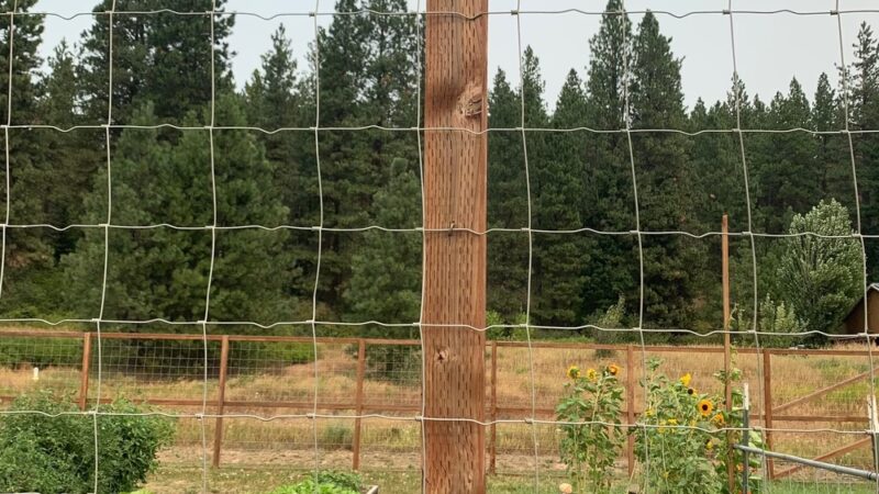 Centennial Park - Cle Elum, WA