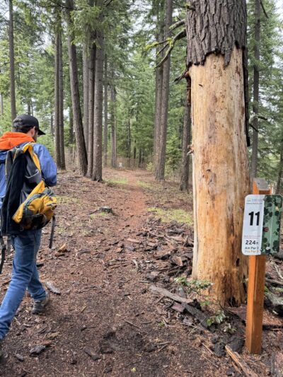 Dawson Park - Cle Elum, WA