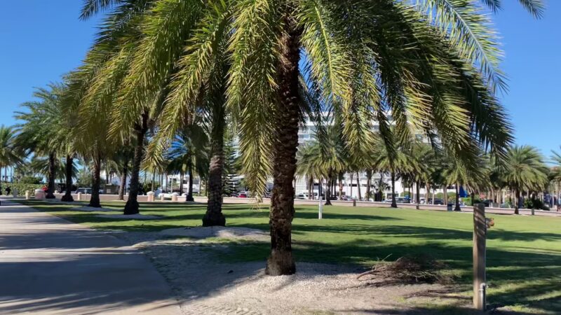 Pier 60 Park - Clearwater Beach, FL