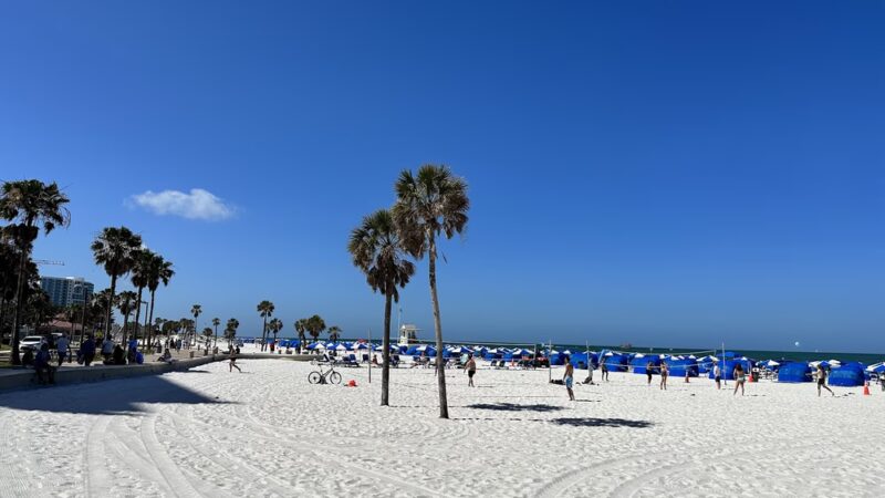 Pier 60 Park - Clearwater Beach, FL
