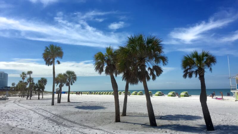Pier 60 Park - Clearwater Beach, FL
