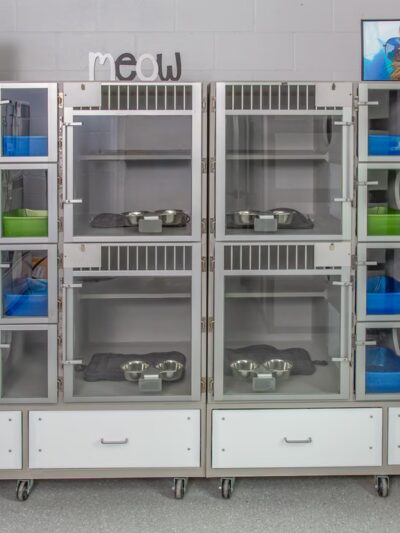 Bay Paws Pet Resort - Clearwater, FL