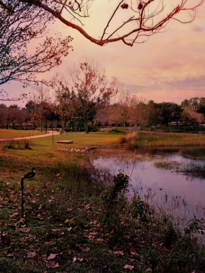 Crest Lake Park - Clearwater, FL