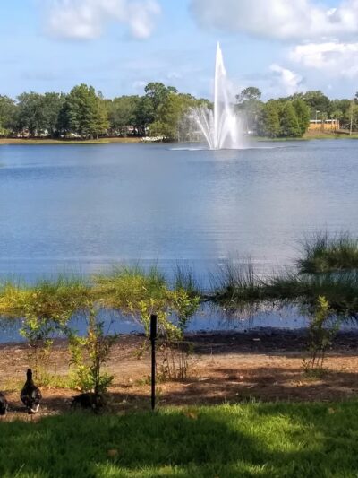 Crest Lake Park - Clearwater, FL