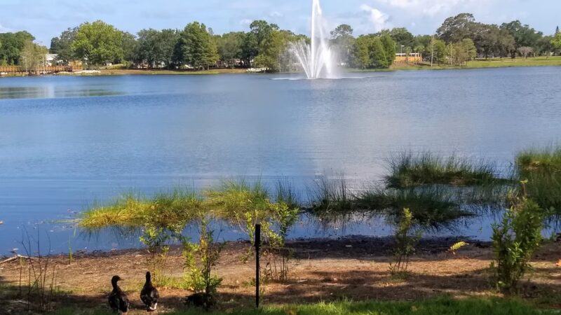 Crest Lake Park - Clearwater, FL